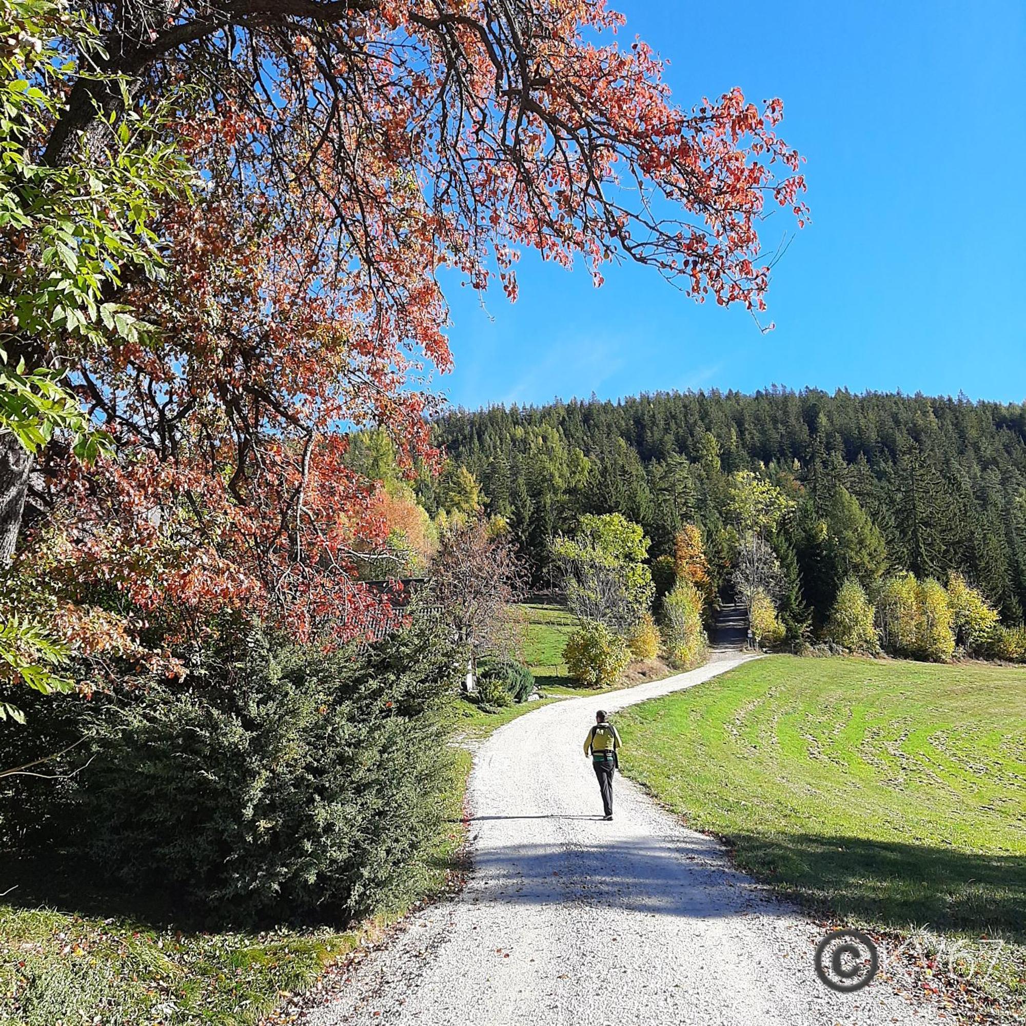 Jogilation Apartment Sankt Jakob im Walde